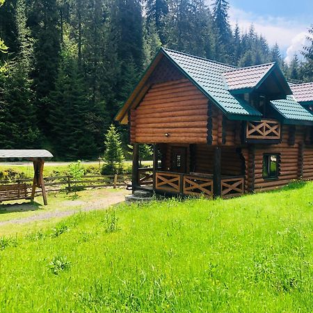 У Віти Котедж4 Synevyrsʼka Polyana Exterior foto