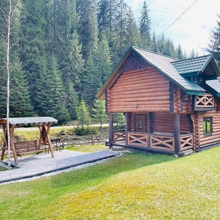 У Віти Котедж4 Synevyrsʼka Polyana Exterior foto